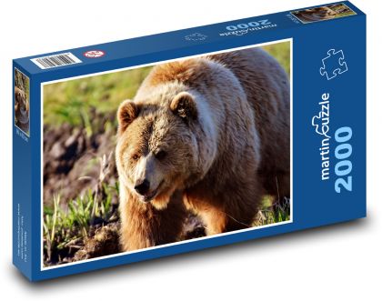 Brown bear - mammal, animal - Puzzle 2000 pieces, size 90x60 cm 