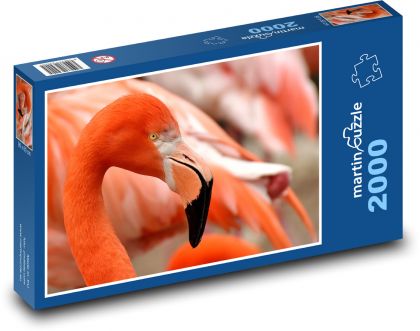 Plameňák - oranžový pták, zoo - Puzzle 2000 dílků, rozměr 90x60 cm