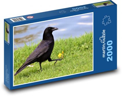 Vrana - vták, zviera - Puzzle 2000 dielikov, rozmer 90x60 cm 