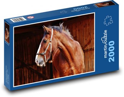 Hrabský kůň - zvíře, farma - puzzle 2000 dílků