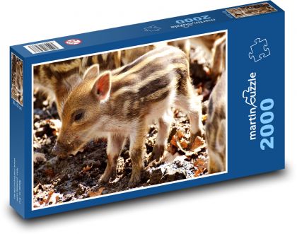 Divočák - sele, prasátko - puzzle 2000 dílků