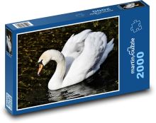 Bílá labuť - vodní pták Puzzle 2000 - 90x60 cm
