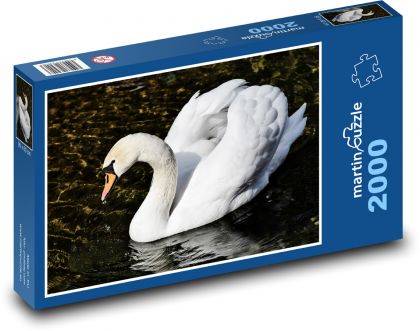 Bílá labuť - vodní pták - Puzzle 2000 dílků, rozměr 90x60 cm