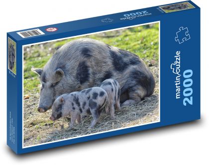 Świnia z młodymi - zwierzaki, farma - Puzzle 2000 elementów, rozmiar 90x60 cm