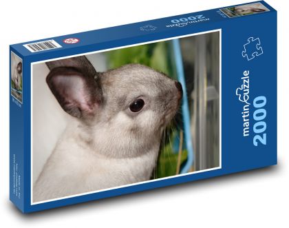 Zakrpatený králik - domáce zviera - Puzzle 2000 dielikov, rozmer 90x60 cm 