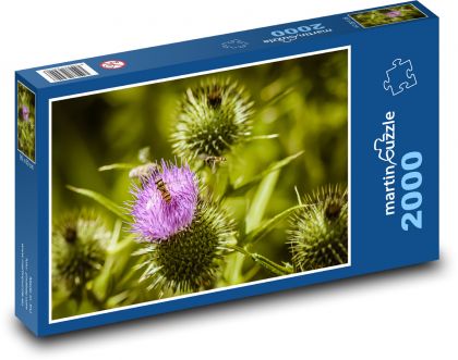 Hmyz na bodláku - puzzle 2000 dílků