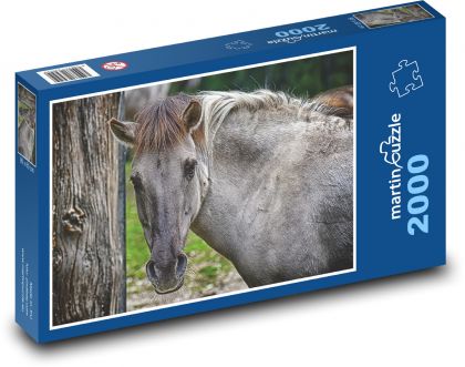 Divoký kôň - tarpan, zviera - Puzzle 2000 dielikov, rozmer 90x60 cm 