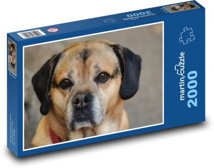 Pies - zwierzak, czworonożny - Puzzle 2000 elementów, rozmiar 90x60 cm