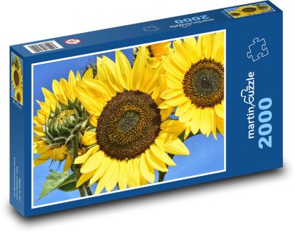 Slunečnice - květ, léto - Puzzle 2000 dílků, rozměr 90x60 cm