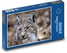 Rys - divoká kočka, divoké zvíře Puzzle 2000 dílků - 90 x 60 cm