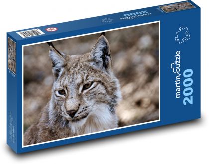 Rys - divoká kočka, divoké zvíře - Puzzle 2000 dílků, rozměr 90x60 cm