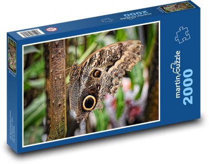 Motýľ - hmyz, zviera - Puzzle 2000 dielikov, rozmer 90x60 cm 