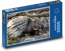 Dikobraz - zvíře, zoo Puzzle 2000 dílků - 90 x 60 cm