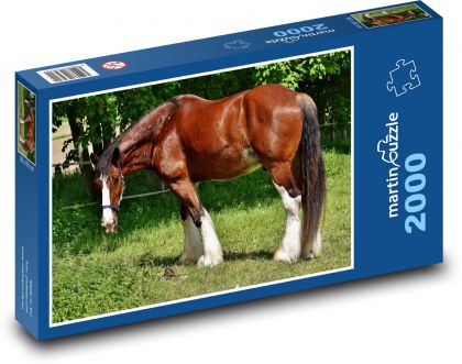 Kůň - farma, zvíře - Puzzle 2000 dílků, rozměr 90x60 cm