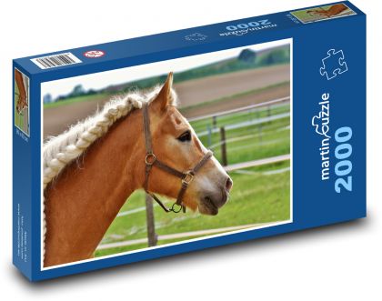 Koń - grzywa, warkocze - Puzzle 2000 elementów, rozmiar 90x60 cm