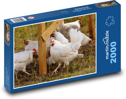 Weiße Hühner auf dem Gras - Puzzle - 2000 Teile