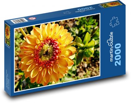 Gelbe Dahlie - Blume, Pflanze - Puzzle - 2000 Teile