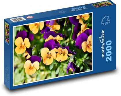 Maceška - jaro, květ - Puzzle 2000 dílků, rozměr 90x60 cm