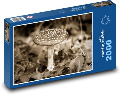 Muchomůrka - les, houba - Puzzle 2000 dílků, rozměr 90x60 cm