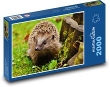 Młody jeż - zwierzę, las Puzzle 2000 elementów - 90x60 cm