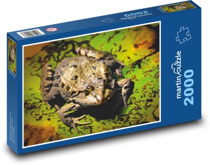 Żaba - staw, zwierzę - Puzzle 2000 elementów, rozmiar 90x60 cm
