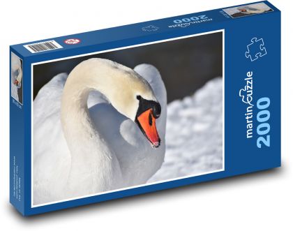 Labuť - vodný vták, zima - Puzzle 2000 dielikov, rozmer 90x60 cm 