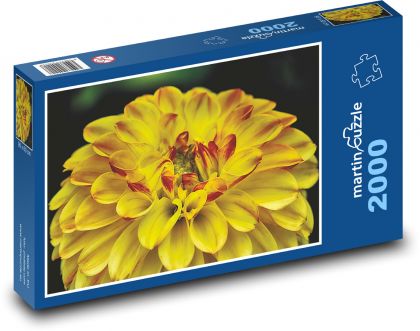 Žlutá jiřina - zahradní květina - Puzzle 2000 dílků, rozměr 90x60 cm