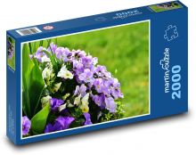 Bratek - wiosenny kwiat, ogród Puzzle 2000 elementów - 90x60 cm