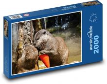 Vydry s hračkou Puzzle 2000 - 90x60 cm