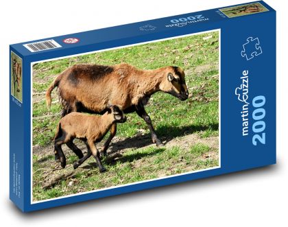 Ovce - jahňa, mláďa - Puzzle 2000 dielikov, rozmer 90x60 cm 