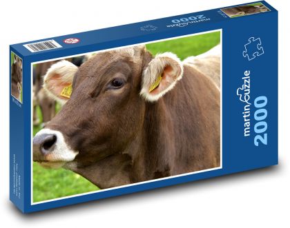 Cow - farm, animal - Puzzle 2000 pieces, size 90x60 cm 