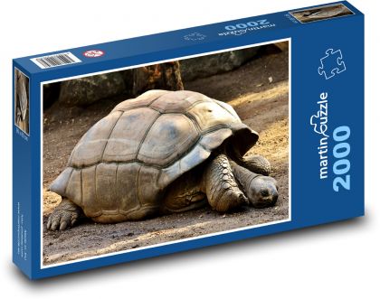 Giant turtle - reptile, zoo - Puzzle 2000 pieces, size 90x60 cm 