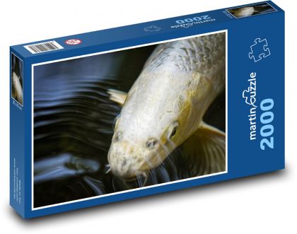 Koi - exotic carp, fish - Puzzle 2000 pieces, size 90x60 cm 