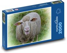 Schaf - Tier, Wiese Puzzle 2000 Teile - 90 x 60 cm