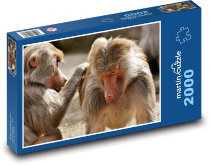 Paviáni - opice, zvířata - Puzzle 2000 dílků, rozměr 90x60 cm