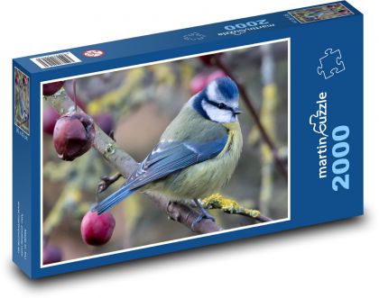 Meise - Vogel, Natur - Puzzle - 2000 Teile