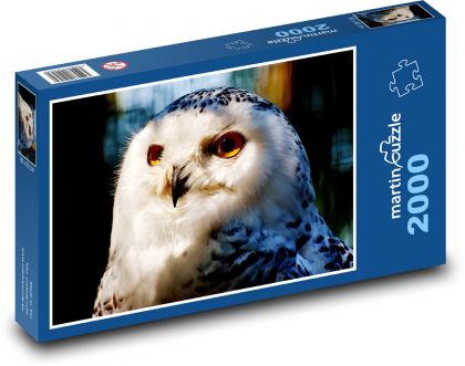 Snow owl - bird, animal - Puzzle 2000 pieces, size 90x60 cm 