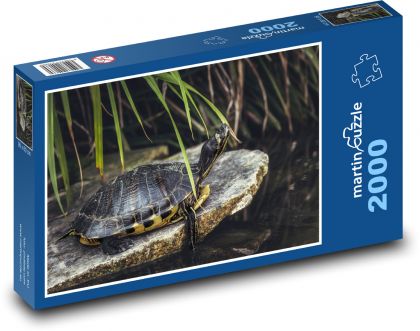 Turtle - reptile, pond - Puzzle 2000 pieces, size 90x60 cm 