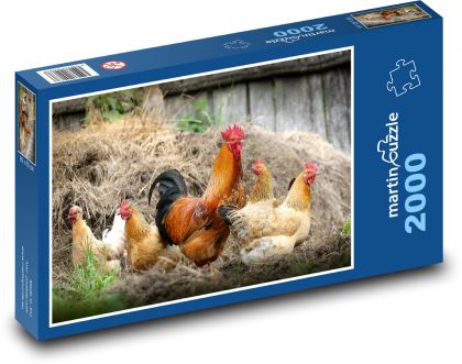 Chickens - poultry, rooster - Puzzle 2000 pieces, size 90x60 cm 