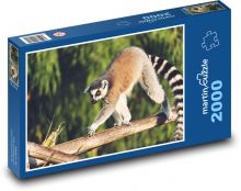 Lemur - zviera, opice Puzzle 2000 dielikov - 90 x 60 cm