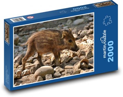 Wildschwein - Ferkel, Schwein - Puzzle - 2000 Teile