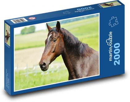 Horse - stallion, farm - Puzzle 2000 pieces, size 90x60 cm 