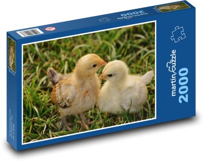 Chicken - chicken, poultry - Puzzle 2000 pieces, size 90x60 cm 