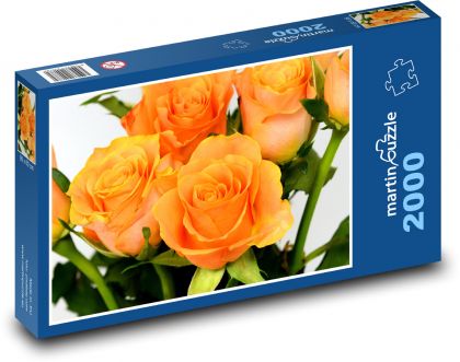 Oranžové růže - květiny, zahrada - Puzzle 2000 dílků, rozměr 90x60 cm