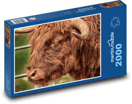 Býk - rohy, zviera - Puzzle 2000 dielikov, rozmer 90x60 cm 