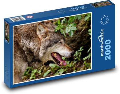 Wolf - Wildes Tier, Wald - Puzzle - 2000 Teile