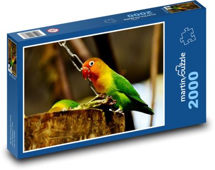 Papoušek - pták, zvíře - Puzzle 2000 dílků, rozměr 90x60 cm