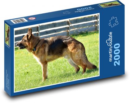German Shepherd - Puzzle 2000 pieces, size 90x60 cm 