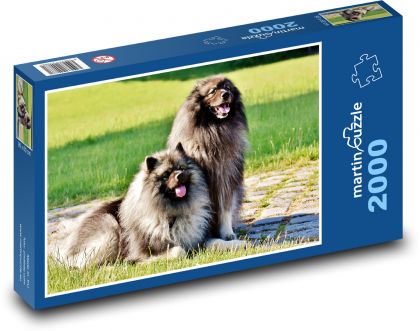 Špic - pes, domácí zvíře - Puzzle 2000 dílků, rozměr 90x60 cm