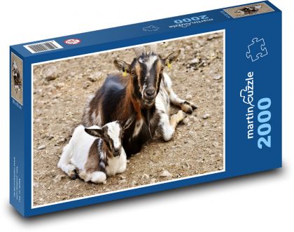 Kozy - mládě, koza - Puzzle 2000 dílků, rozměr 90x60 cm
